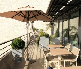 Conception décoration végétale terrasse entreprise